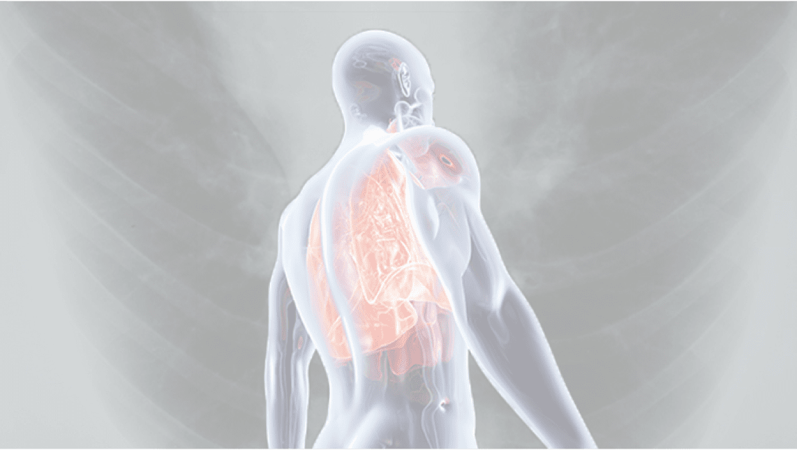 creativity about Pulmonary Fibrosis